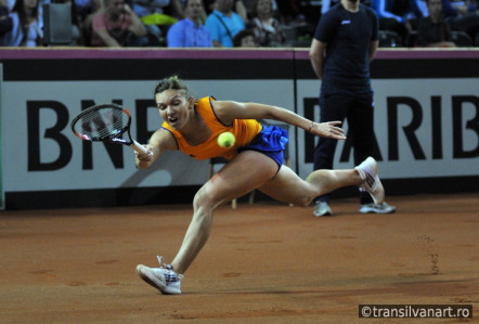 Tenis: FED CUP – Fotografii Romania vs Germania singles