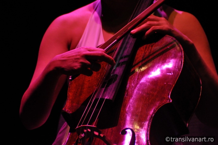 Cello player performs live on the stage