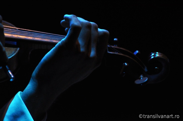 Violonist plays on his instrument