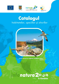 catalog