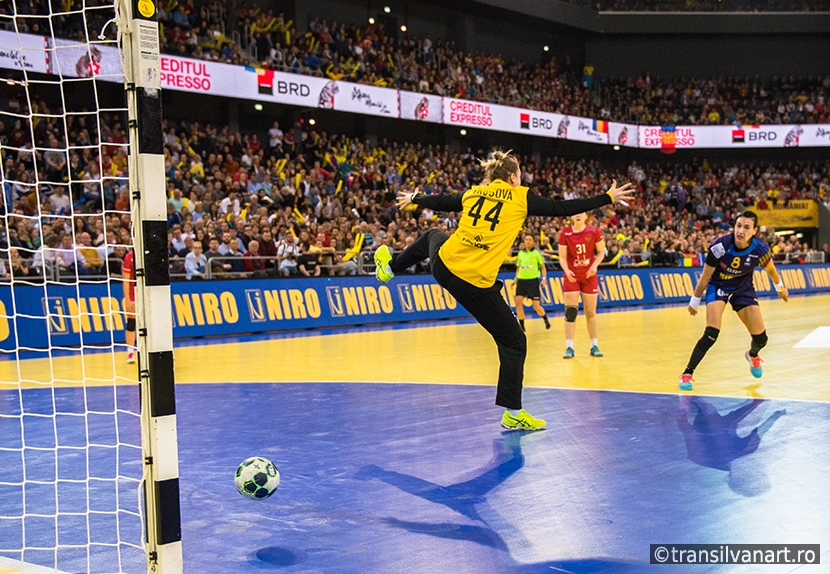 Women playing handball