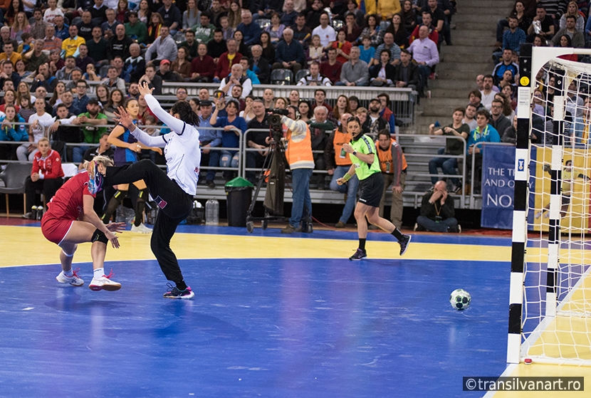 Women playing handball